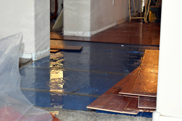 Professional Basement Flood Cleanup technician working in Lansing, MI